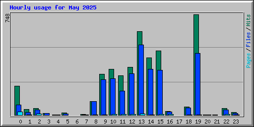 Hourly usage for May 2025