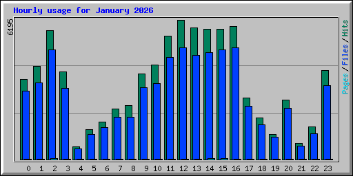 Hourly usage for January 2026
