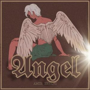   امیر عرفانی