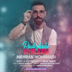   مهران محمدی