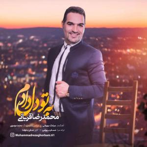   محمدرضا قربانی