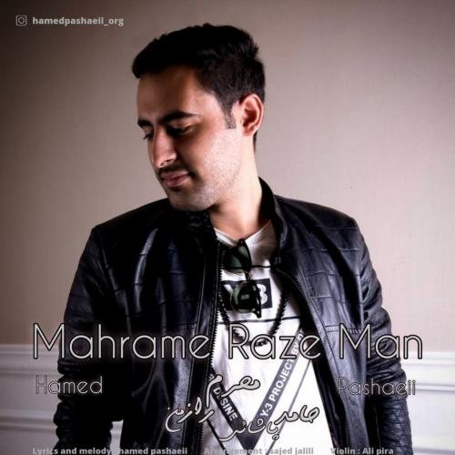   حامد پاشایی