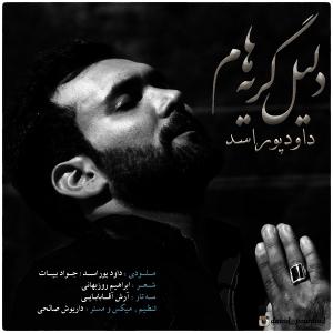   داوود پور اسد