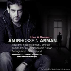   امیر حسین عامری