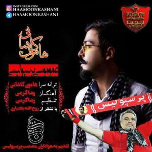   هامون کاشانی
