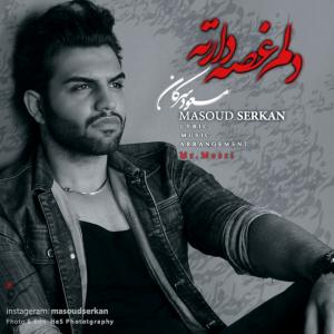   مسعود سرکان