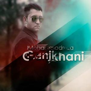   محمدرضا گنج خانی