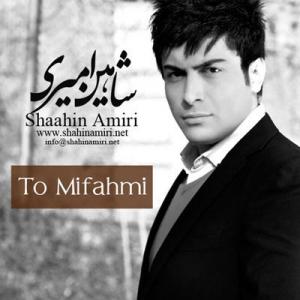   شاهین امیری