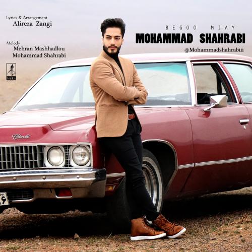   محمد شهرابی