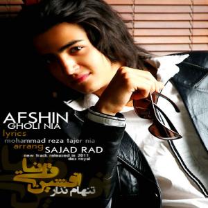   افشین قلی نیا