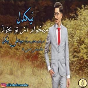   نیکدل