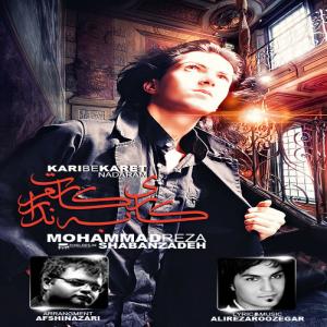   محمدرضا شبانزاده