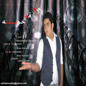   وحید احمدی ها