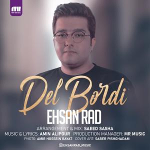   امین فرد و احسان راد