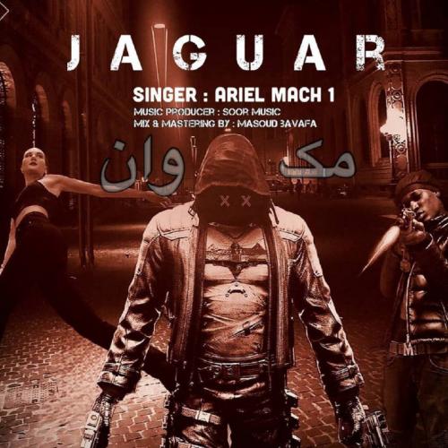   اریل مک وان