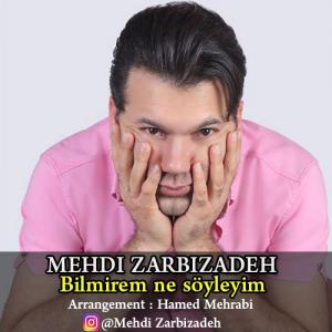   مهدی ضربی زاده