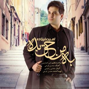   امیر علیزاده