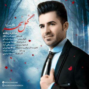   رضا کرد زنگنه