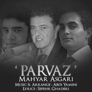   مهیار عسگری