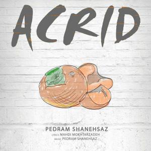   پدرام شانه ساز