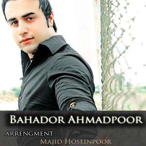   بهادر احمدپور
