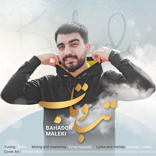   بهادُر مَلکی