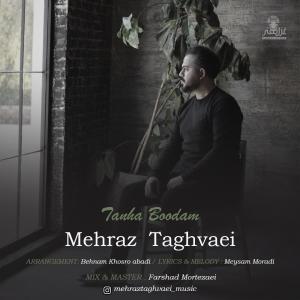   مهراز تقوایی