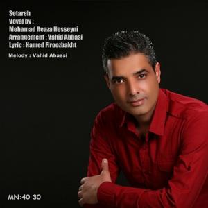   محمد رضا حسینی