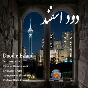   نریمان نجفی