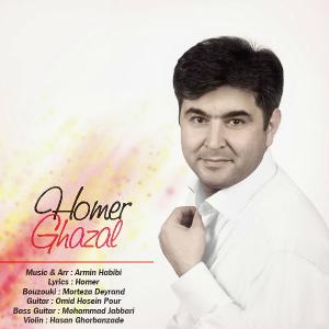   هومر