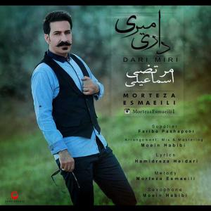   مرتضی اسماعیلی