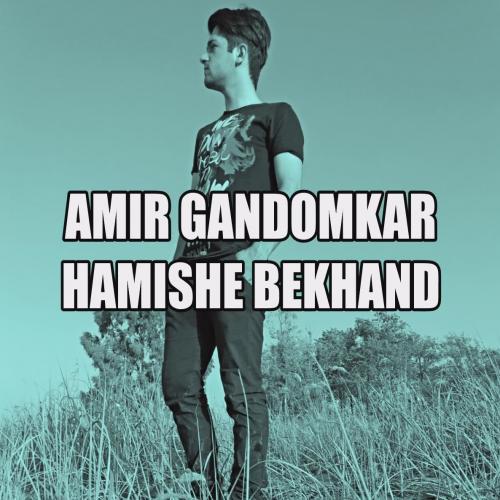   امیر گندمکار