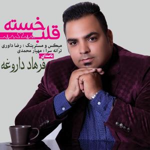   فرهاد داروغه