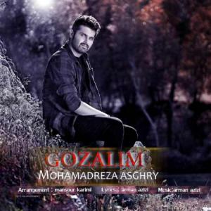   محمدرضا اصغری