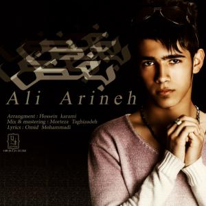   علی ارینه