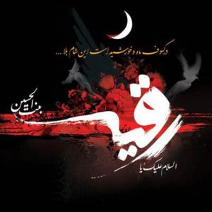   محمدرضا اصغری