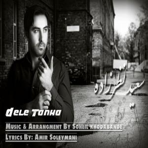   سعید نظرزاده