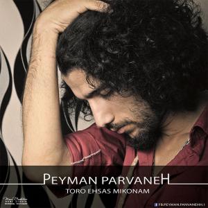   پیمان پروانه