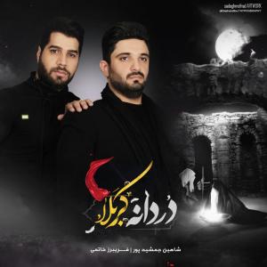   شاهین جمشیدپور