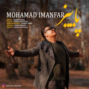   محمد ایمان فر