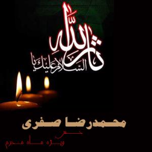   محمدرضاصفری