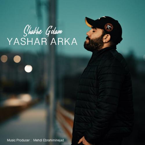   یاشار آرکا