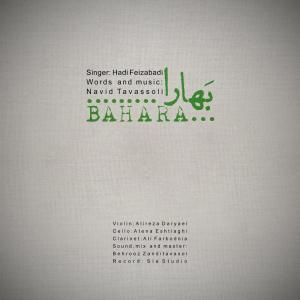   هادی فیض آبادی