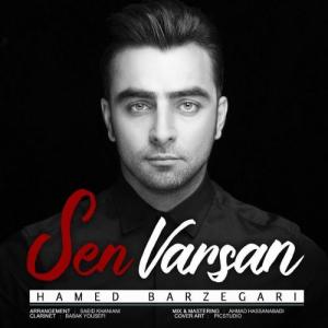   حامد برزگری