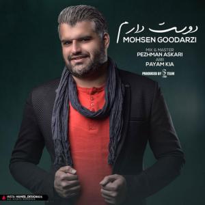   محسن گودرزی