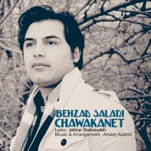   بهزاد سالاری