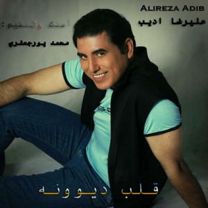   علیرضا ادیب