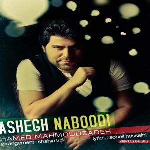   حامد محمودزاده