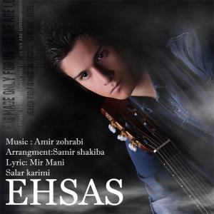   سالار کریمی