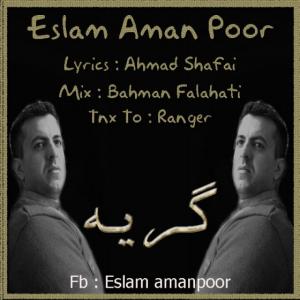   اسلام امانپور